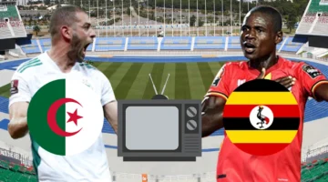 القنوات المفتوحة.. تعرف على أسماء القنوات الناقلة لمباراة الجزائر وأوغندا في تصفيات كأس العالم 2026