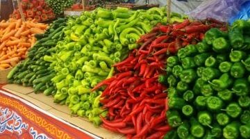 تراجع سعر الخضار والفواكه في المنوفية الثلاثاء 14-10-2025