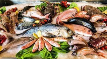 أسعار الأسماك.. تغيرات جديدة بأسواق السمك والجمبري يوم الأربعاء 12 نوفمبر 2025