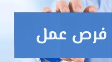 63 شركة جديدة.. فرص عمل متجددة في 13 محافظة مع التخصصات وطريقة التقديم المفصلة