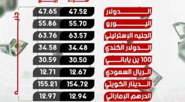 أسعار الصرف في البنوك المصرية الأحد 21 ديسمبر 2025: تحديث شامل ومفصل