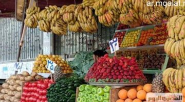 استقرار أسعار الفاكهة في أسواق الأقصر الاثنين 15 ديسمبر 2025