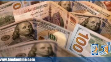 تحديث جديد.. سعر الدولار مقابل الجنيه في البنوك المصرية بختام تعاملات 2025
