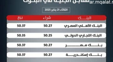 سعر الدولار مقابل الجنيه في البنوك المصرية الأحد