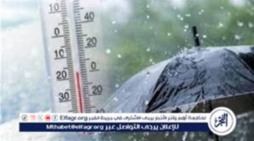 ارتفاع الحرارة ونشاط الرياح.. تفاصيل حالة الطقس المتوقعة بمصر يوم السبت 31 يناير 2026