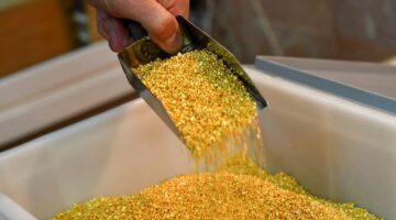 الذهب يقفز 4%.. تداعيات قرار الاحتياطي الفيدرالي على حركة التداول في الأسواق العالمية