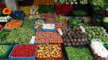 الليمون بـ 24 جنيهًا.. تراجع ملحوظ في أسعار الخضروات بالأسواق اليوم وأسعار الطماطم تنخفض