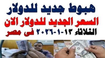 تحرك مفاجئ للأسعار.. تحديث قيمة صرف اليورو أمام الجنيه بالبنوك المصرية اليوم الثلاثاء