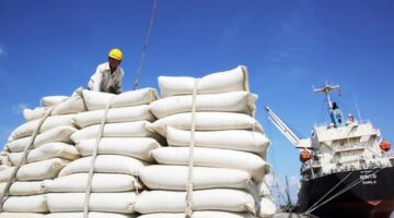 أكبر منتج للأرز.. دولة آسيوية تتصدر القائمة العالمية بإنتاجية سنوية ضخمة