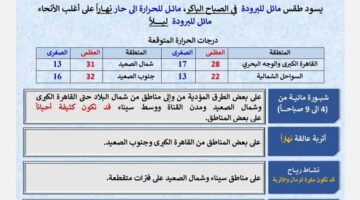 طقس الاثنين.. الأرصاد الجوية تحذر من موجة ارتفاع لدرجات الحرارة بمختلف المحافظات