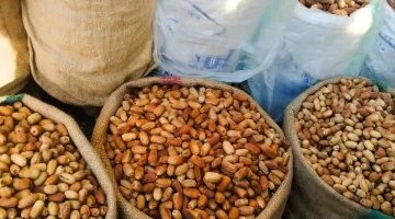 تحركات جديدة في أسعار التمور والبلح السيوي داخل أسواق مطروح اليوم الأربعاء