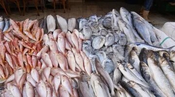 تحركات جديدة في أسعار الدواجن واللحوم والأسماك داخل أسواق سوهاج اليوم السبت