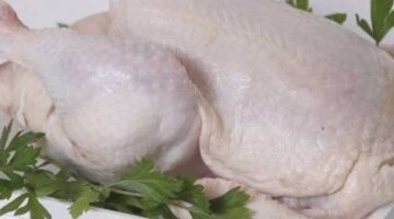 تحركات جديدة في أسعار الفراخ البيضاء داخل الأسواق بمحافظة المنوفية اليوم الجمعة