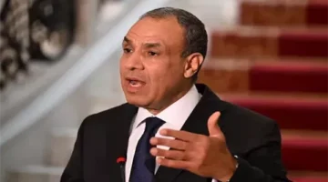 الخارجية تحسم الجدل بشأن توجيه طلب إلى مصر للتدخل عسكرياً في الخليج