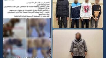 الداخلية تنهي الجدل حول واقعة كلب السويس عقب ضبط ناشرة الادعاءات