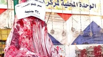 انخفاض سعر كيلو اللحمة بأسواق الوادي الجديد ضمن مبادرة المنافذ الحكومية المتنقلة