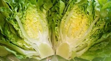 تحديث جديد في أسعار الخضروات بأسواق بورسعيد مع وصول الخس لعشرة جنيهات