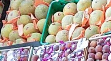 تحديث جديد في أسعار فاكهة سوهاج مع وصول البرتقال إلى 15 جنيهاً