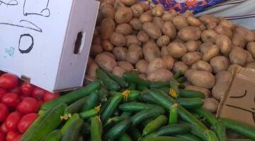 تحديث جديد لأسعار الخضار والفاكهة داخل أسواق القليوبية خلال تعاملات اليوم الثلاثاء