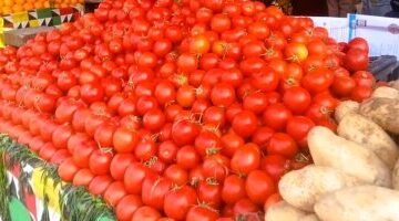 تحديثات أسعار الخضراوات والفاكهة داخل أسواق كفر الشيخ وتكلفة كيلو الطماطم اليوم السبت