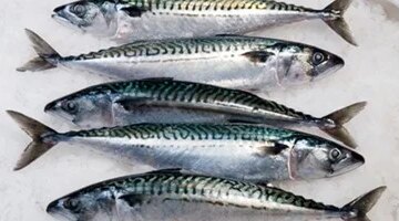 تحديثات أسعار الدواجن واللحوم والأسماك في سوهاج ووصول الماكريل إلى 110 جنيهات