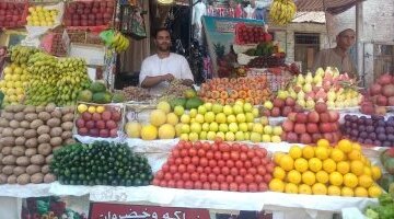 تحديثات أسعار الفاكهة في أسواق سوهاج وقيمة بيع كيلو البرتقال للمستهلك اليوم