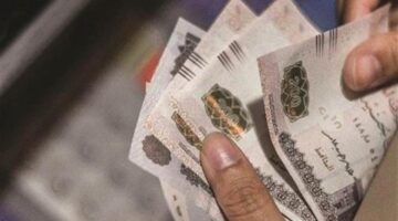 تحديد 6 حالات تستحق المعاش الشهري الثابت وفق قانون التأمينات الجديد