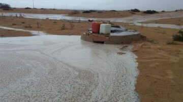 تحذير من أمطار تضرب شمال البلاد ونشاط لرياح مثيرة للأتربة بمناطق مختلفة