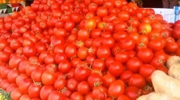 تحرك جديد في أسعار الخضراوات بأسوان والطماطم تسجل 50 جنيها بأسواق المحافظة