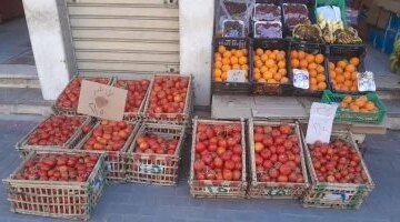 تحرك جديد في أسعار الخضراوات والفاكهة بالغربية ووصول الطماطم إلى 35 جنيهاً