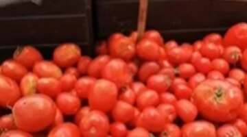 تحرك مفاجئ في أسعار الخضراوات بالأقصر بعد وصول كيلو الطماطم إلى 20 جنيهاً