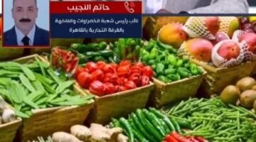 تحركات جديدة في أسعار الخضراوات بأسواق مطروح ووصول البصل إلى 15 جنيهاً