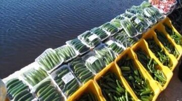 تحركات جديدة في أسعار الخضراوات داخل أسواق محافظة المنيا خلال تعاملات اليوم الإثنين