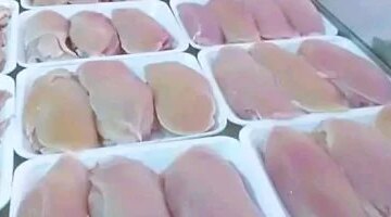 تحركات جديدة في أسعار الفراخ بالمنوفية وكيلو البانيه يسجل 250 جنيها بأسواق المحافظة