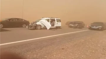 تداعيات خطيرة لعاصفة ترابية ضربت أسيوط ومحافظها يرفع حالة الطوارئ بحصيلة أولية للأضرار