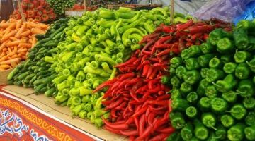 تذبذب أسعار الخضروات في الأقصر وتراجع سعر كيلو الطماطم إلى 7 جنيهات