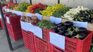 تراجع أسعار الخضار في سوهاج ووصول الكيلو إلى 10 جنيهات بالأسواق المحلية