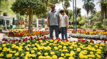 توقعات فلكية تكشف مدة فصل الربيع وموعد نهايته الرسمي وسط التقلبات الجوية الحالية