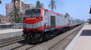 سبب توقف حركة القطارات المفاجئ بمحطة سيدي جابر في الإسكندرية إثر سقوط نخلة