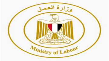 فتح باب التقديم لبرنامج مديرية العمل ببورسعيد لتدريب الشباب في شركة نيرك