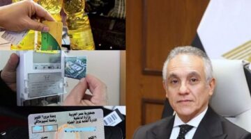 قائمة جرائم جديدة تتسبب في وقف 11 خدمة حكومية للمخالفين بقرار من الحكومة