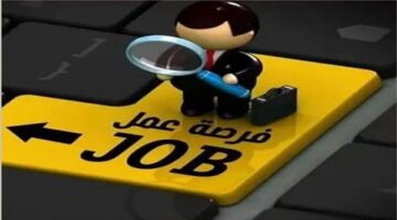 وزارة العمل تعلن توفر 747 فرصة براتب يصل إلى 20000 جنيه للمصريين