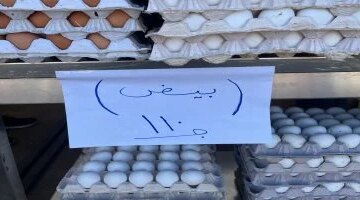 سعر كرتونة البيض يصل إلى 110 جنيهات في أسواق كفر الشيخ الإثنين