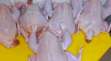 تغيرات جديدة في أسعار الفراخ البيضاء داخل أسواق محافظة المنوفية اليوم الثلاثاء