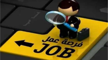 فرص عمل في 3 محافظات برواتب تصل إلى 12 ألف جنيه شهريًا