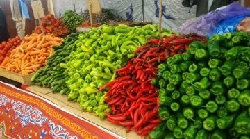 تباين أسعار الخضراوات في أسواق الأقصر خلال تعاملات يوم الخميس 30 أبريل