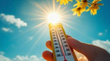 8 درجات مئوية في مدينة مصرية ضمن تباين درجات حرارة المحافظات اليوم