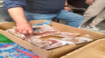 آليات الإبلاغ عن السلع واللحوم المغشوشة والفاسدة لحماية حقوق المستهلكين في الأسواق