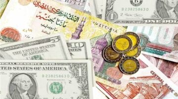 أبرز تحركات سعر الدولار مقابل الجنيه في البنوك والسوق الموازي بمصر