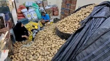 أسعار الخضراوات والفاكهة في منافذ الوادي الجديد بعد تسجيل البطاطس 7.5 جنيه